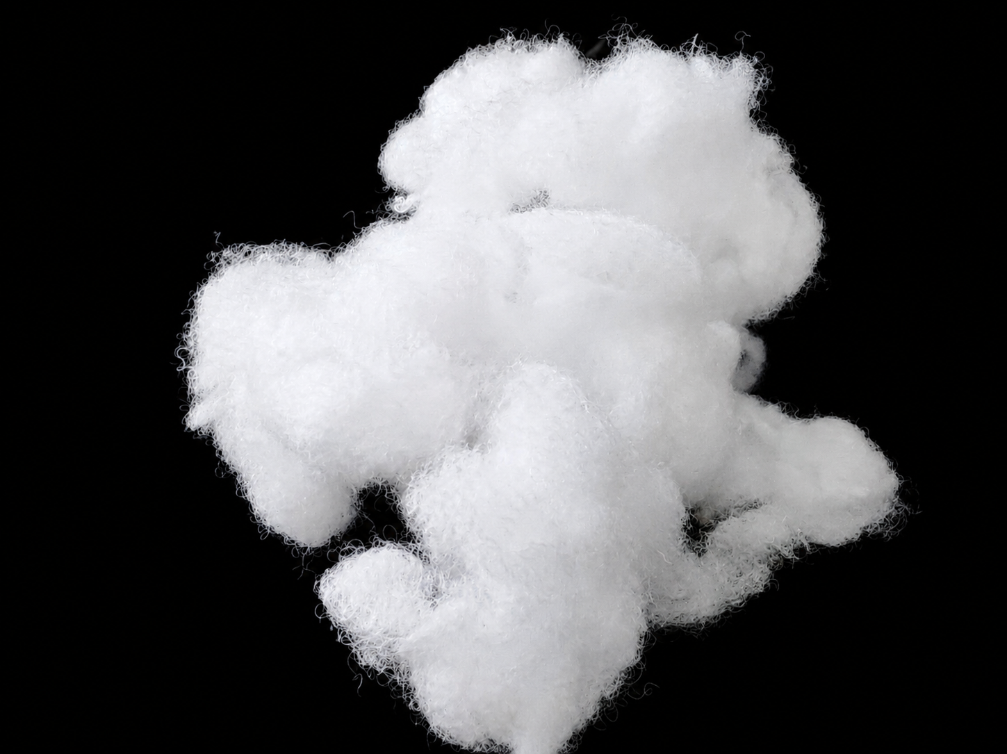 Polyester Fiber